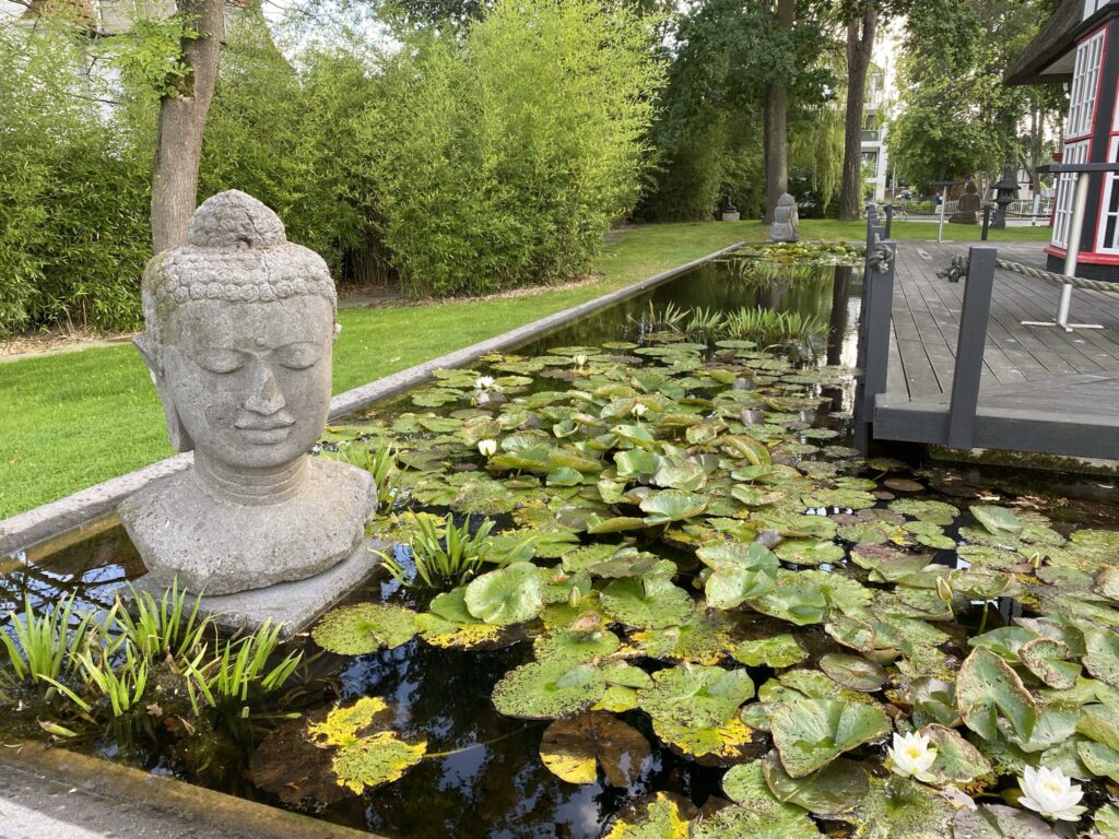 Buddahkopf in einem Garten